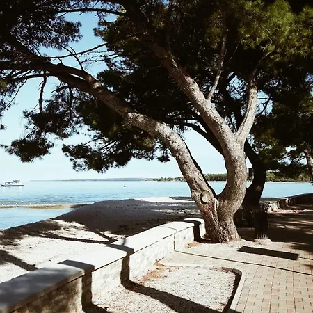 Apartament Istria