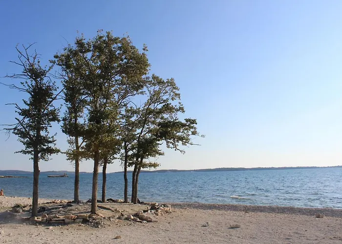 Istria Peroj