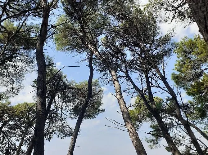 Istria *