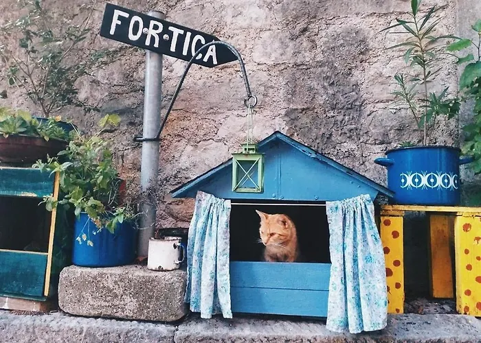 Istria Appartement *