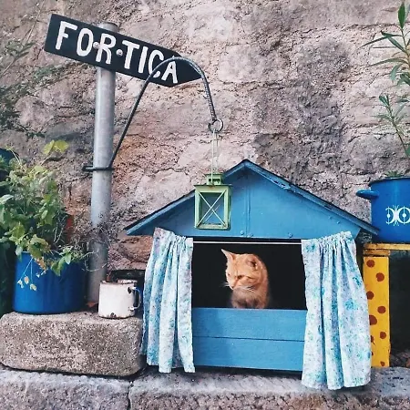 Istria Apartman *