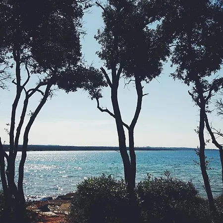 Istria * 佩罗杰